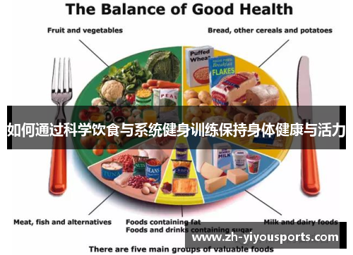 如何通过科学饮食与系统健身训练保持身体健康与活力 如何通过科学饮食与系统健身训练保持身体健康与活力