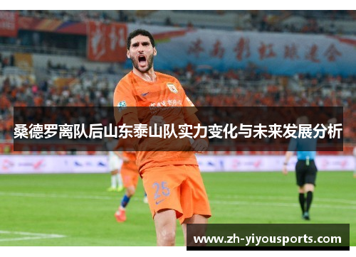 桑德罗离队后山东泰山队实力变化与未来发展分析 桑德罗离队后山东泰山队实力变化与未来发展分析