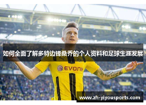 如何全面了解多特边锋桑乔的个人资料和足球生涯发展 如何全面了解多特边锋桑乔的个人资料和足球生涯发展