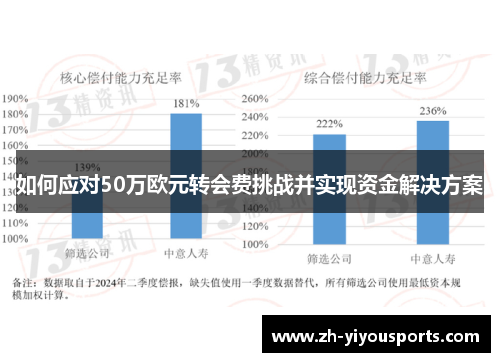 如何应对50万欧元转会费挑战并实现资金解决方案 如何应对50万欧元转会费挑战并实现资金解决方案
