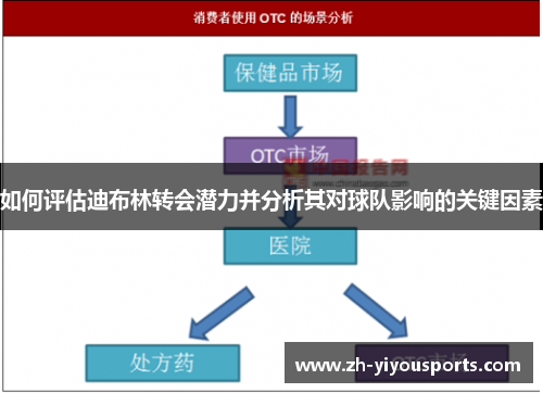 如何评估迪布林转会潜力并分析其对球队影响的关键因素 如何评估迪布林转会潜力并分析其对球队影响的关键因素