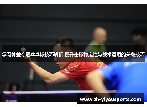 学习韩莹夺冠乒乓球技巧解析 提升击球稳定性与战术运用的关键技巧 学习韩莹夺冠乒乓球技巧解析 提升击球稳定性与战术运用的关键技巧