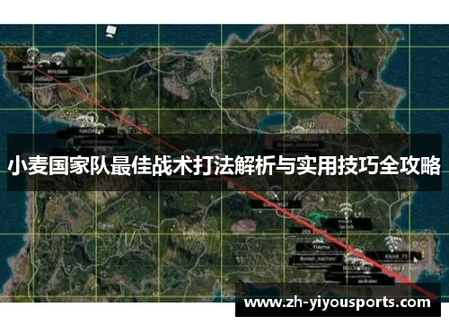 小麦国家队最佳战术打法解析与实用技巧全攻略